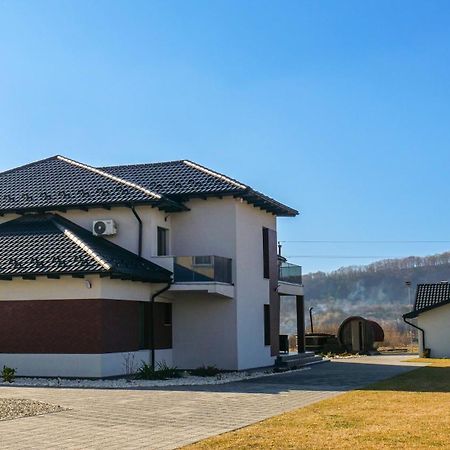 Casa Ambientt Hotel Curtea De Arges Exterior photo